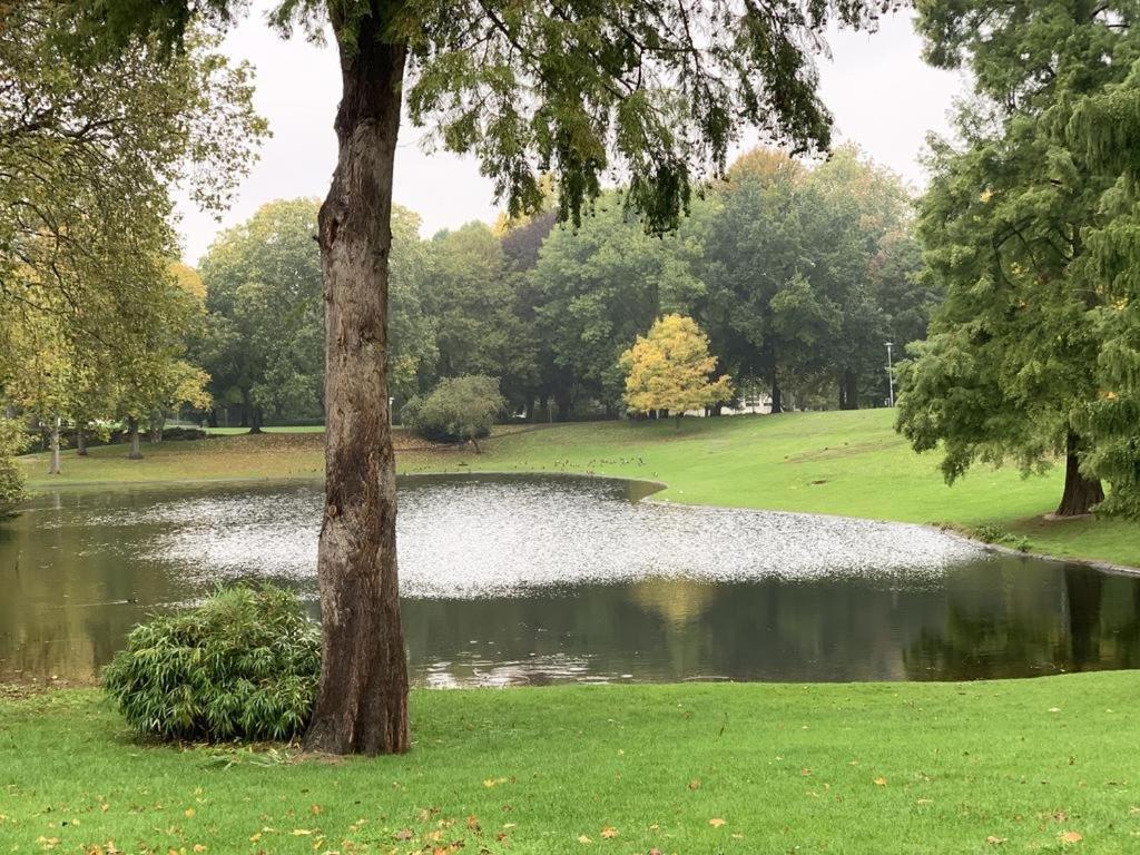 Moebliertes Wohnung Am Geroweiher Moenchengladbach Экстерьер фото